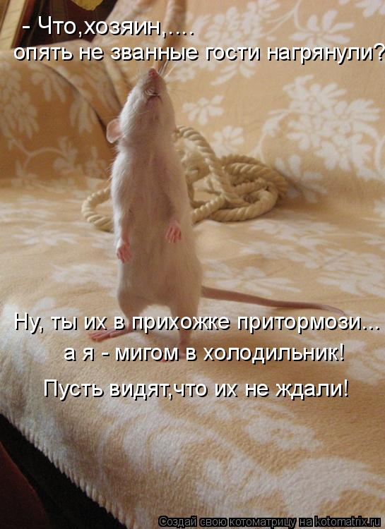 - Что,хозяин,.... опять не званные гости нагрянули? Ну, ты их в прихожке притормози... а я - мигом в ... Котоматрица: - Что,хозяин,.... опять не званные гости нагрянули? Ну, ты их в прихожке притормози... а я - мигом в холодильник! Пусть видят,что их не ждали!