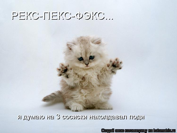 РЕКС-ПЕКС-ФЭКС... я думаю на 3 сосиски наколдавал поди... Котоматрица: РЕКС-ПЕКС-ФЭКС... я думаю на 3 сосиски наколдавал поди