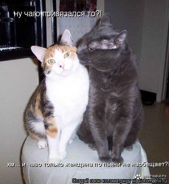 хм... и чаво только женщина по пьяни не наобещает?! ну чаго привязался то?!... Котоматрица: хм... и чаво только женщина по пьяни не наобещает?! ну чаго привязался то?!