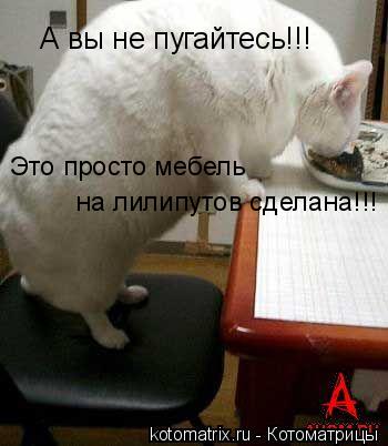 А вы не пугайтесь!!! Это просто мебель на лилипутов сделана!!!... Котоматрица: А вы не пугайтесь!!! Это просто мебель на лилипутов сделана!!!