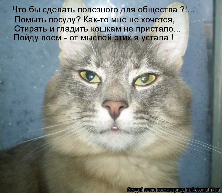 Помыть посуду? Как-то мне не хочется, Стирать и гладить кошкам не пристало... Пойду поем - от мыслей ... Котоматрица: Помыть посуду? Как-то мне не хочется, Стирать и гладить кошкам не пристало... Пойду поем - от мыслей этих я устала ! Что бы сделать полезного дл
