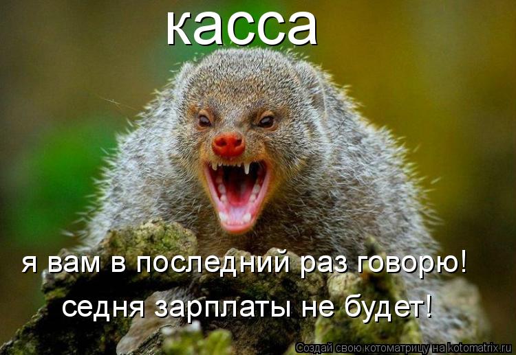 касса я вам в последний раз говорю! седня зарплаты не будет!... Котоматрица: касса я вам в последний раз говорю! седня зарплаты не будет!