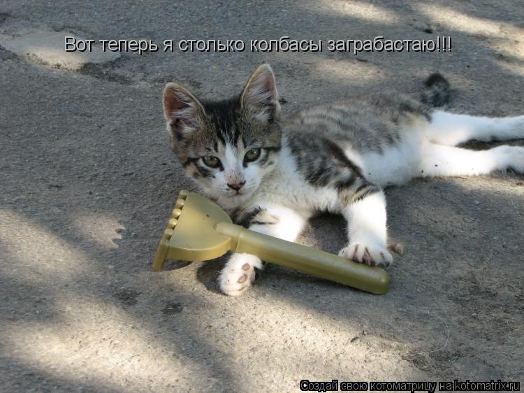 Вот теперь я столько колбасы заграбастаю!!!... Котоматрица: Вот теперь я столько колбасы заграбастаю!!!