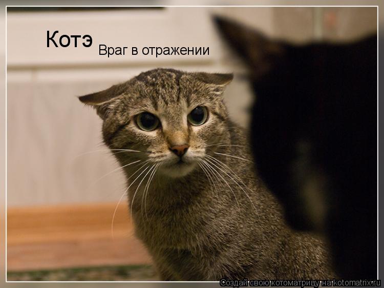 Котэ Враг в отражении... Котоматрица: Котэ Враг в отражении