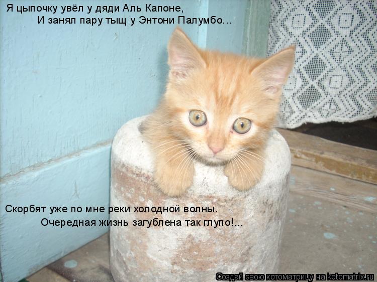 Я цыпочку увёл у дяди Аль Капоне, И занял пару тыщ у Энтони Палумбо... Скорбят уже по мне реки холодн... Котоматрица: Я цыпочку увёл у дяди Аль Капоне, И занял пару тыщ у Энтони Палумбо... Скорбят уже по мне реки холодной волны. Очередная жизнь загублена так г