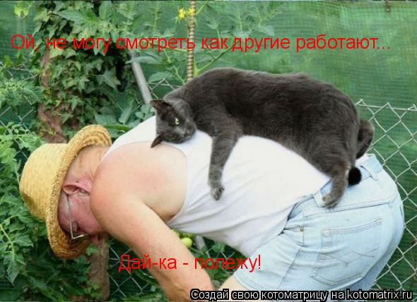 Ой, не могу смотреть как другие работают... Дай-ка - полежу!... Котоматрица: Ой, не могу смотреть как другие работают... Дай-ка - полежу!