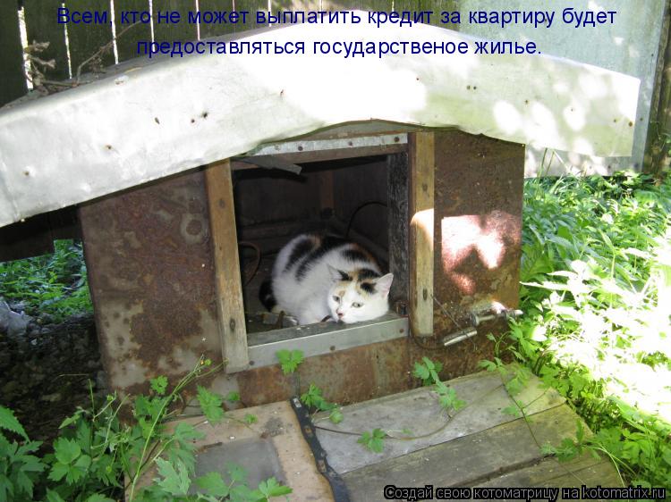 Всем, кто не может выплатить кредит за квартиру будет предоставляться государственое жилье.... Котоматрица: Всем, кто не может выплатить кредит за квартиру будет предоставляться государственое жилье.