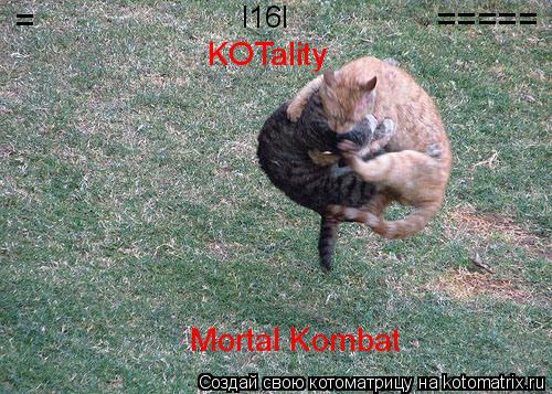 Mortal Kombat = ===== KOTality I16I... Котоматрица: Mortal Kombat = ===== KOTality I16I