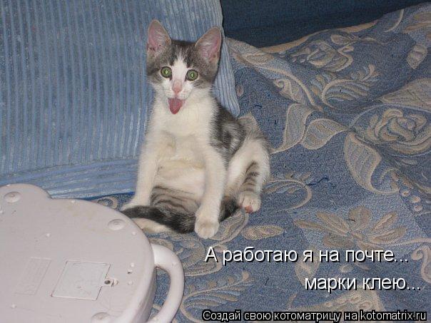 А работаю я на почте... марки клею...... Котоматрица: А работаю я на почте... марки клею...