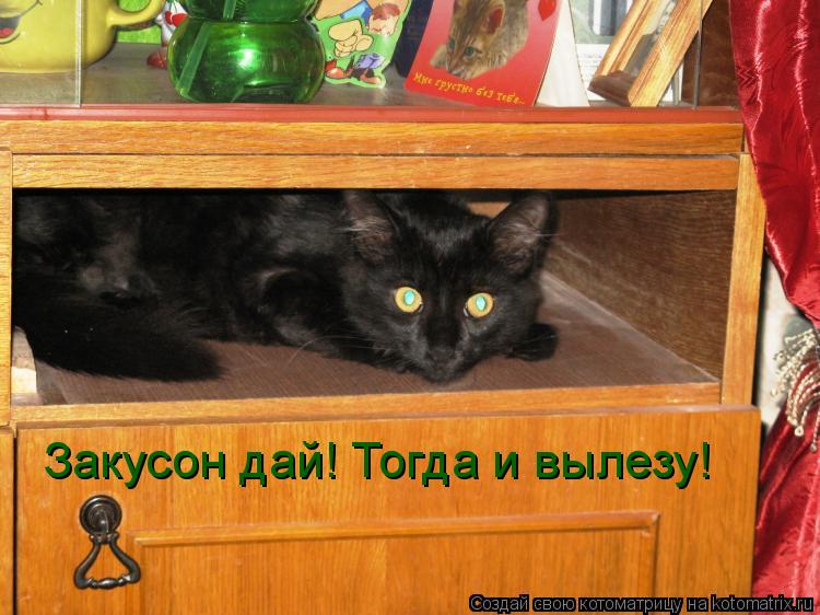 Закусон дай! Тогда и вылезу!... Котоматрица: Закусон дай! Тогда и вылезу!