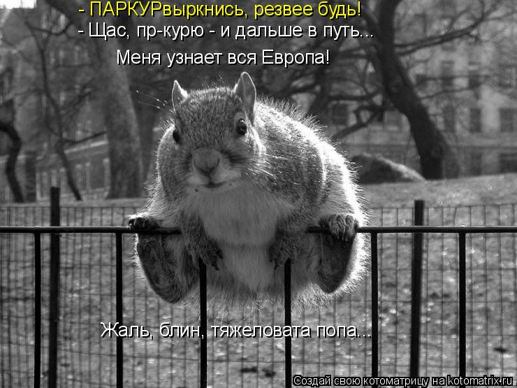- ПАРКУРвыркнись, резвее будь! Жаль, блин, тяжеловата попа... Меня узнает вся Европа! - Щас, пр-курю ... Котоматрица: - ПАРКУРвыркнись, резвее будь! Жаль, блин, тяжеловата попа... Меня узнает вся Европа! - Щас, пр-курю - и дальше в путь...