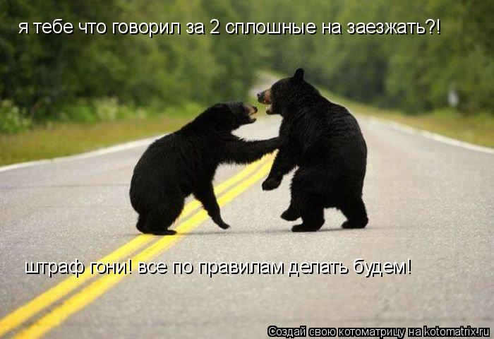 я тебе что говорил за 2 сплошные на заезжать?! штраф гони! все по правилам делать будем!... Котоматрица: я тебе что говорил за 2 сплошные на заезжать?! штраф гони! все по правилам делать будем!