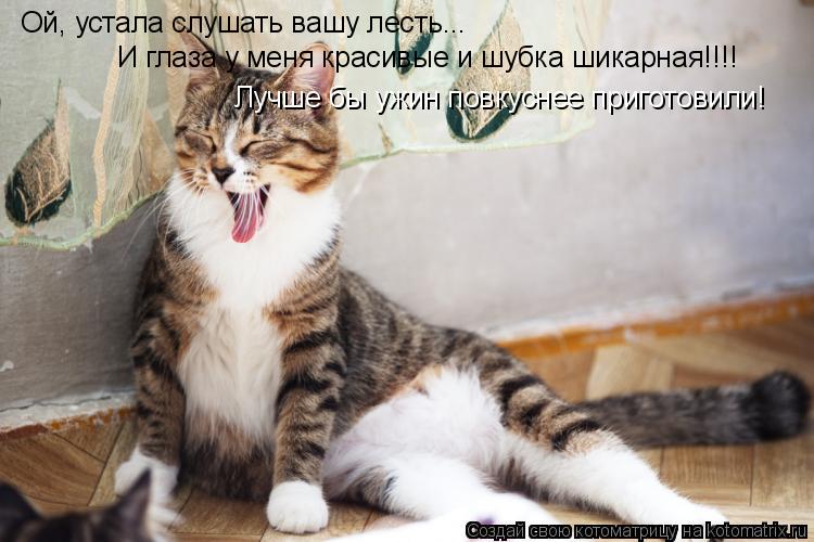 Ой, устала слушать вашу лесть... И глаза у меня красивые и шубка шикарная!!!! Лучше бы ужин повкуснее... Котоматрица: Ой, устала слушать вашу лесть... И глаза у меня красивые и шубка шикарная!!!! Лучше бы ужин повкуснее приготовили!