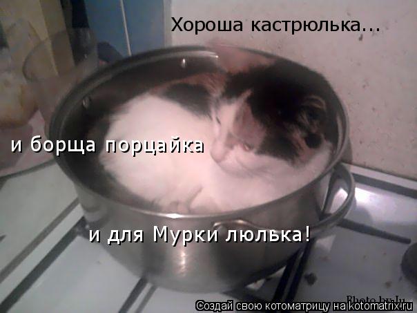 Хороша кастрюлька... и борща порцайка и для Мурки люлька!... Котоматрица: Хороша кастрюлька... и борща порцайка и для Мурки люлька!