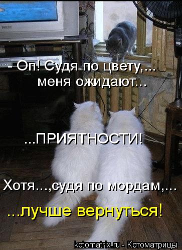- Оп! Судя по цвету,... меня ожидают... ...ПРИЯТНОСТИ! Хотя...,судя по мордам,... ...лучше вернуться!... Котоматрица: - Оп! Судя по цвету,... меня ожидают... ...ПРИЯТНОСТИ! Хотя...,судя по мордам,... ...лучше вернуться!