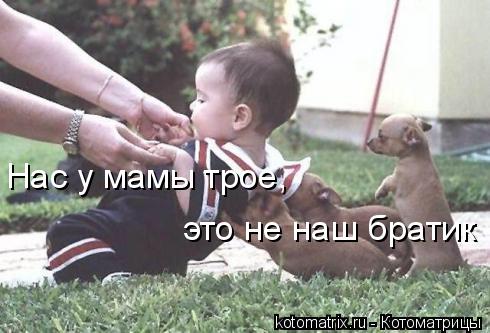Нас у мамы трое, это не наш братик... Котоматрица: Нас у мамы трое, это не наш братик
