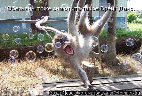 Обезьяны тоже знают,что такое Брейк Данс.... Котоматрица: Обезьяны тоже знают,что такое Брейк Данс.