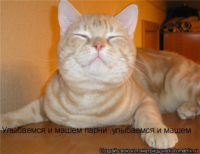 Улыбаемся и машем парни ,улыбаемся и машем... Котоматрица: Улыбаемся и машем парни ,улыбаемся и машем