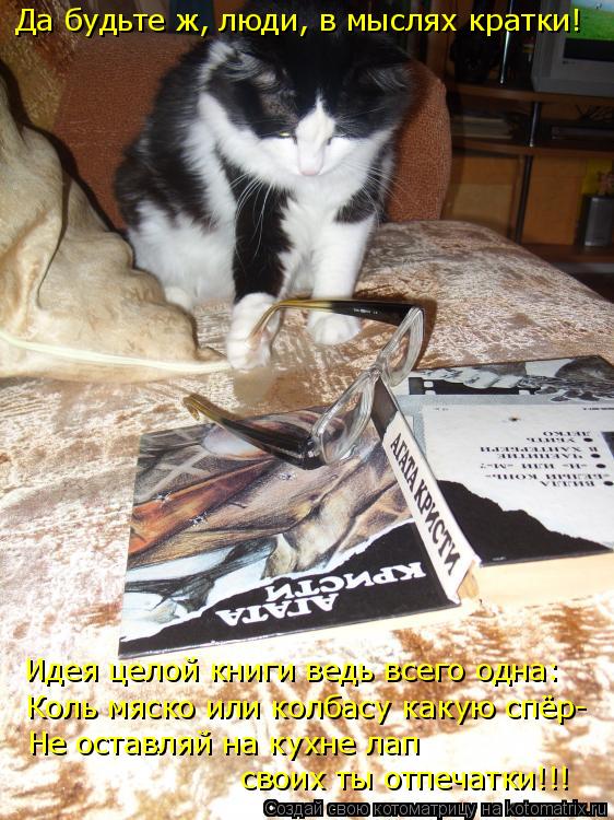 Котоматрица: Да будьте ж, люди, в мыслях кратки! Идея целой книги ведь всего одна: Коль мяско или колбасу какую спёр- Не оставляй на кухне лап  своих ты отп