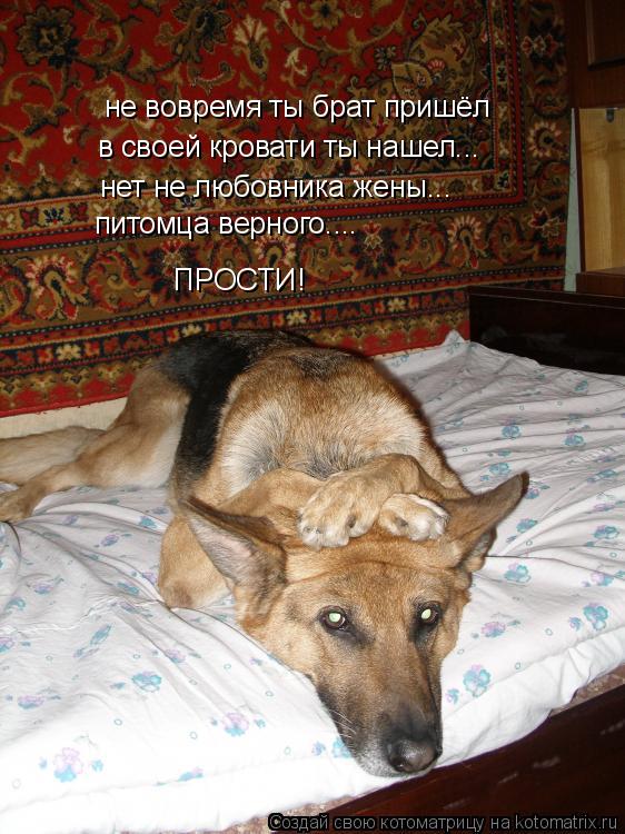 не вовремя ты брат пришёл в своей кровати ты нашел... нет не любовника жены... питомца верного.... ПР... Котоматрица: не вовремя ты брат пришёл в своей кровати ты нашел... нет не любовника жены... питомца верного.... ПРОСТИ!