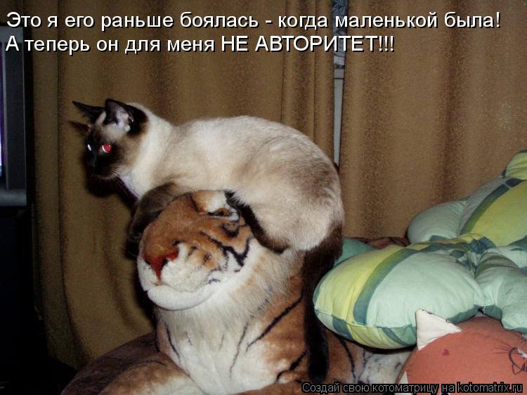 Это я его раньше боялась - когда маленькой была! А теперь он для меня НЕ АВТОРИТЕТ!!!... Котоматрица: Это я его раньше боялась - когда маленькой была! А теперь он для меня НЕ АВТОРИТЕТ!!!