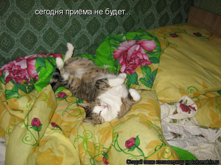 сегодня приёма не будет...... Котоматрица: сегодня приёма не будет...