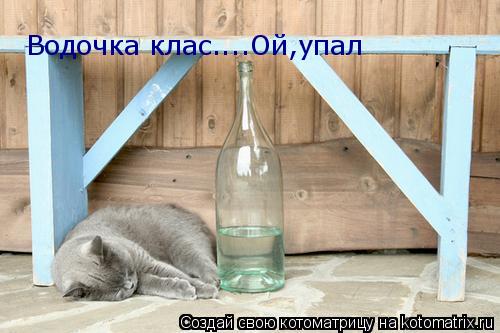 Водочка клас....Ой,упал... Котоматрица: Водочка клас....Ой,упал