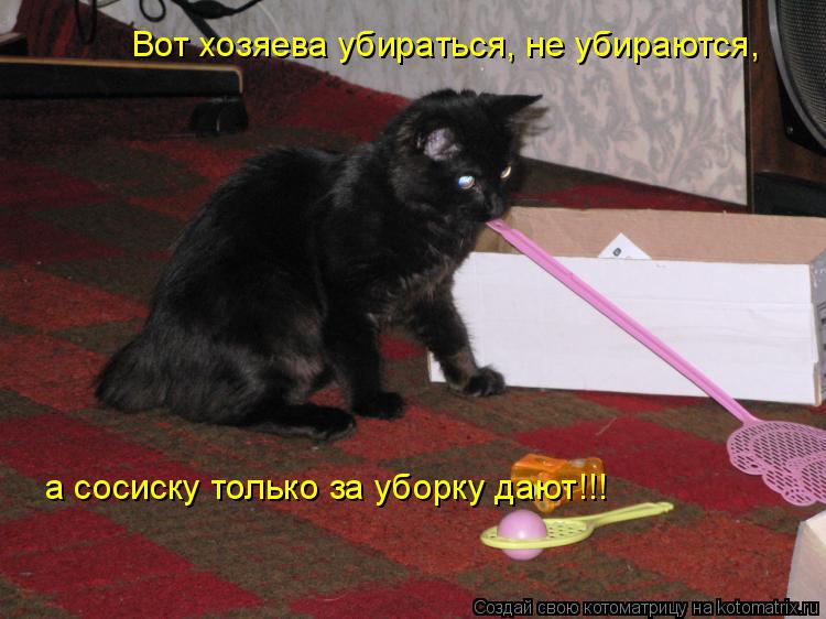 Вот хозяева убираться, не убираются, а сосиску только за уборку дают!!!... Котоматрица: Вот хозяева убираться, не убираются, а сосиску только за уборку дают!!!