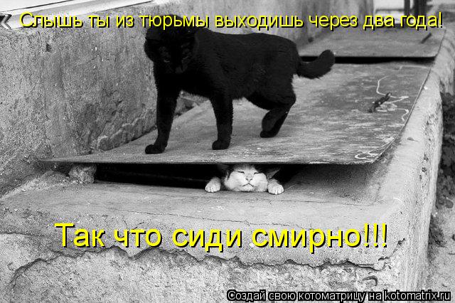 Слышь ты из тюрьмы выходишь через два года! Так что сиди смирно!!!... Котоматрица: Слышь ты из тюрьмы выходишь через два года! Так что сиди смирно!!!