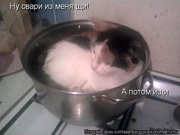Ну свари из меня щи! А потом ищи... Котоматрица: Ну свари из меня щи! А потом ищи