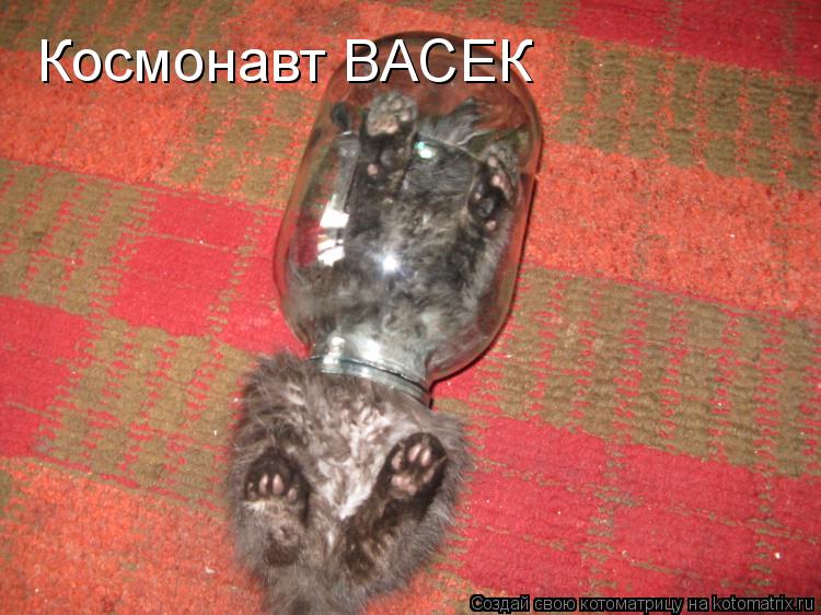 Космонавт ВАСЕК... Котоматрица: Космонавт ВАСЕК