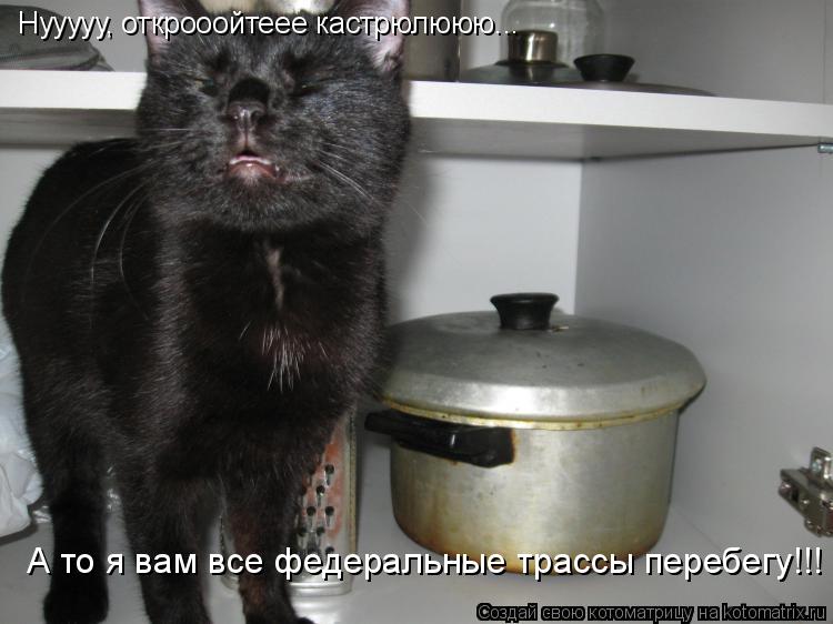 Нууууу, открооойтеее кастрюлююю... А то я вам все федеральные трассы перебегу!!!... Котоматрица: Нууууу, открооойтеее кастрюлююю... А то я вам все федеральные трассы перебегу!!!