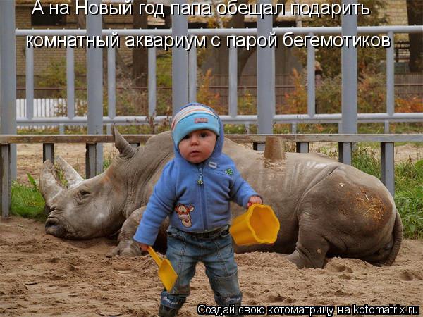 А на Новый год папа обещал подарить комнатный аквариум с парой бегемотиков... Котоматрица: А на Новый год папа обещал подарить комнатный аквариум с парой бегемотиков