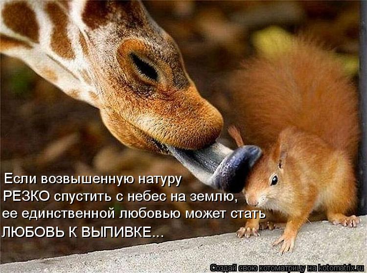 Если возвышенную натуру РЕЗКО спустить с небес на землю, ее единственной любовью может стать ЛЮБОВЬ К... Котоматрица: Если возвышенную натуру РЕЗКО спустить с небес на землю, ее единственной любовью может стать ЛЮБОВЬ К ВЫПИВКЕ...