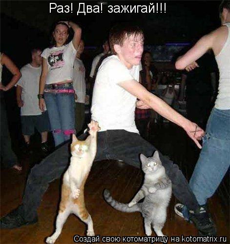 Раз! Два! зажигай!!!... Котоматрица: Раз! Два! зажигай!!!