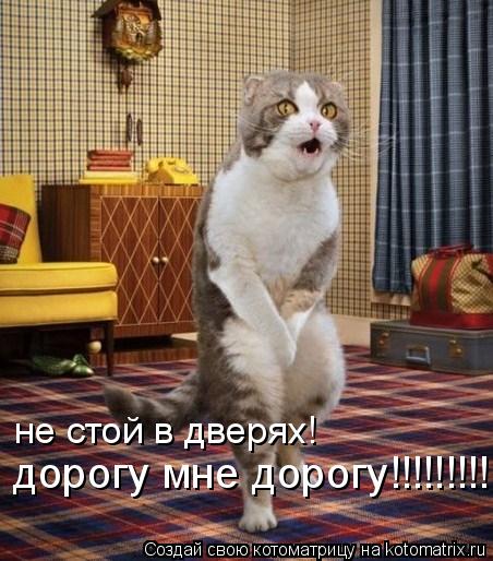 не стой в дверях! дорогу мне дорогу!!!!!!!!!... Котоматрица: не стой в дверях! дорогу мне дорогу!!!!!!!!!