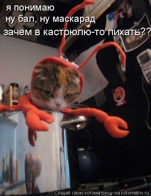я понимаю ну бал, ну маскарад зачем в кастрюлю-то пихать??... Котоматрица: я понимаю ну бал, ну маскарад зачем в кастрюлю-то пихать??