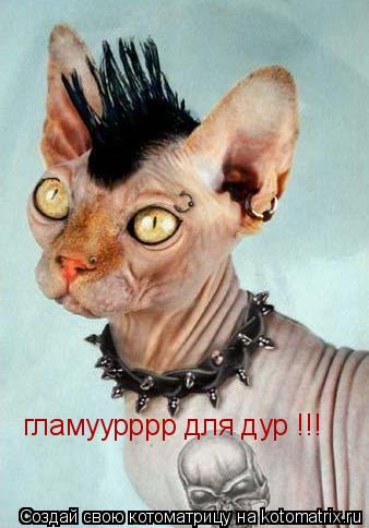 гламуурррр для дур !!!... Котоматрица: гламуурррр для дур !!!