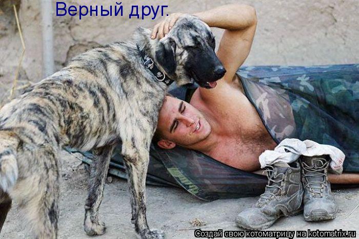 Верный друг.... Котоматрица: Верный друг.