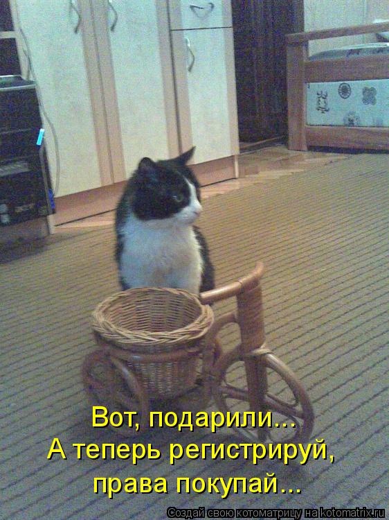 Вот, подарили... А теперь регистрируй, права покупай...... Котоматрица: Вот, подарили... А теперь регистрируй, права покупай...