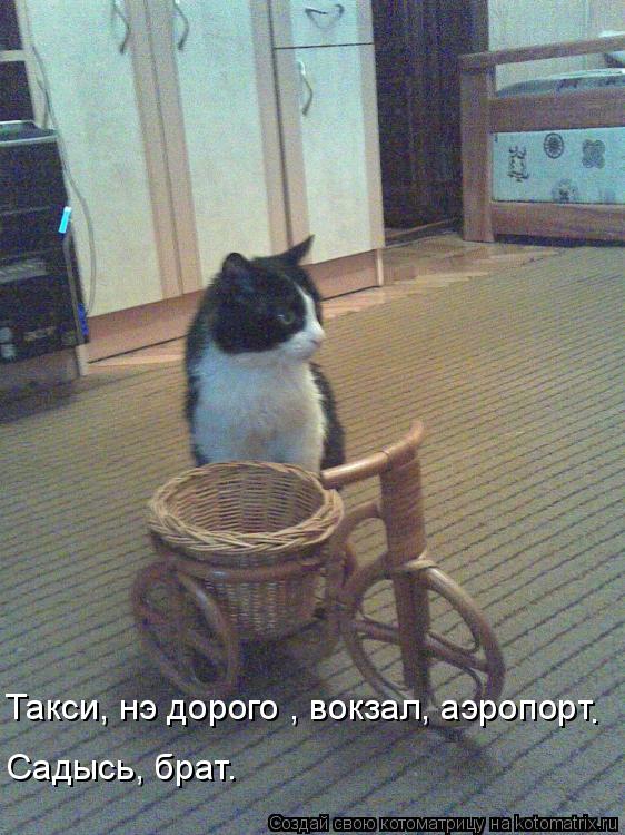 Такси, нэ дорого , вокзал, аэропорт Садысь, брат. .... Котоматрица: Такси, нэ дорого , вокзал, аэропорт Садысь, брат. .