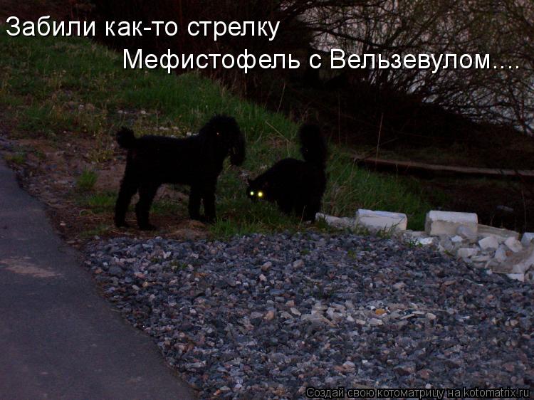 Забили как-то стрелку Мефистофель с Вельзевулом....... Котоматрица: Забили как-то стрелку Мефистофель с Вельзевулом....