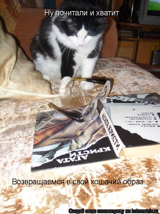 Ну почитали и хватит Возвращаемся в свой кошачий образ...... Котоматрица: Ну почитали и хватит Возвращаемся в свой кошачий образ...