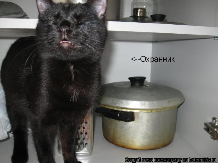 <--Охранник... Котоматрица: <--Охранник