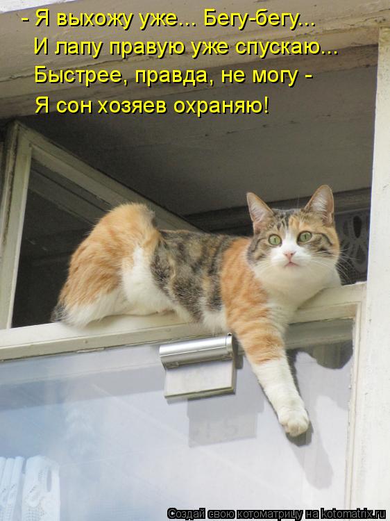 - Я выхожу уже... Бегу-бегу... И лапу правую уже спускаю... Быстрее, правда, не могу - Я сон хозяев ... Котоматрица: - Я выхожу уже... Бегу-бегу... И лапу правую уже спускаю... Быстрее, правда, не могу - Я сон хозяев охраняю!