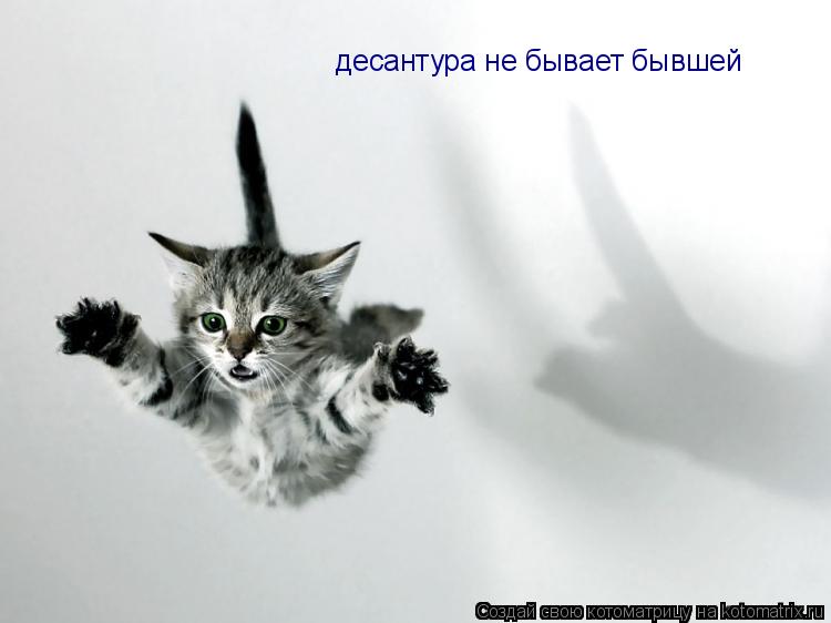 десантура не бывает бывшей... Котоматрица: десантура не бывает бывшей