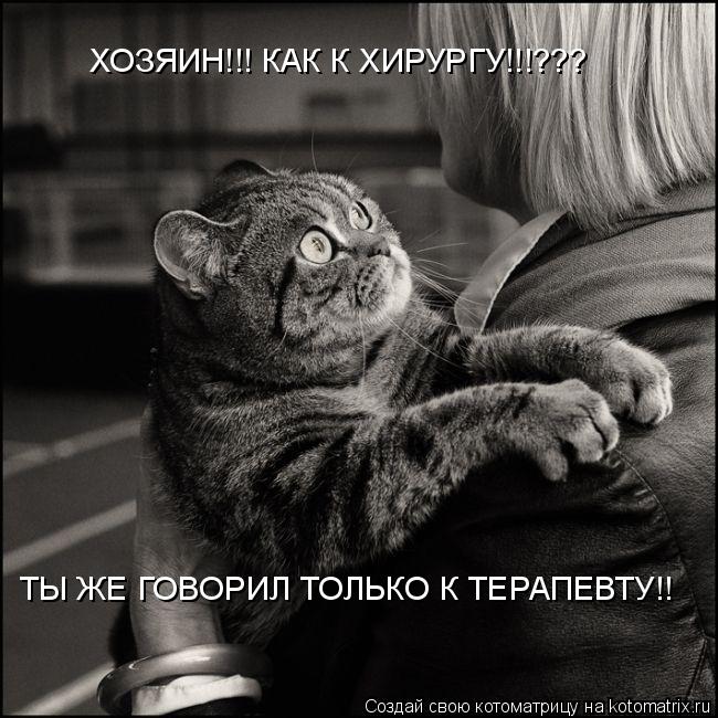 ХОЗЯИН!!! КАК К ХИРУРГУ!!!??? ТЫ ЖЕ ГОВОРИЛ ТОЛЬКО К ТЕРАПЕВТУ!!... Котоматрица: ХОЗЯИН!!! КАК К ХИРУРГУ!!!??? ТЫ ЖЕ ГОВОРИЛ ТОЛЬКО К ТЕРАПЕВТУ!!