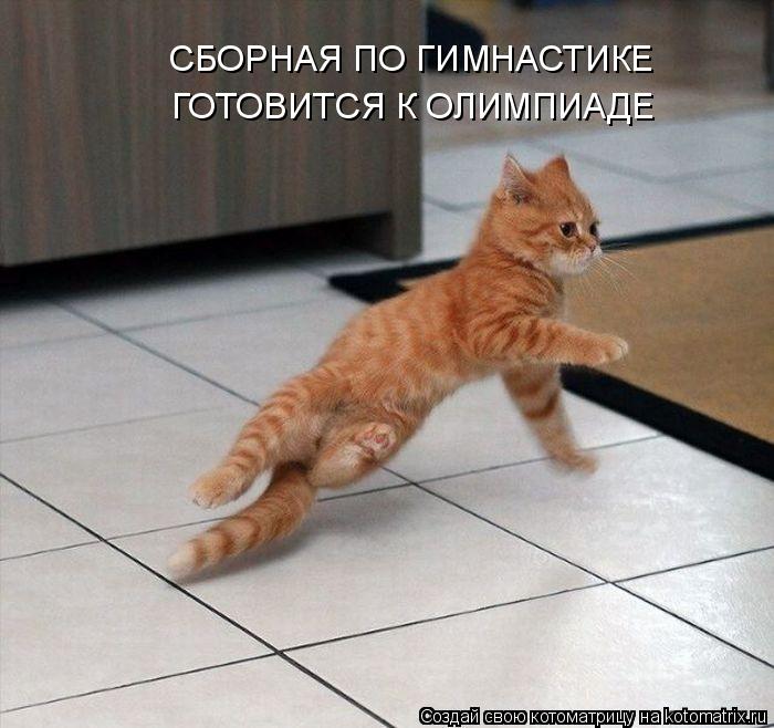 СБОРНАЯ ПО ГИМНАСТИКЕ ГОТОВИТСЯ К ОЛИМПИАДЕ... Котоматрица: СБОРНАЯ ПО ГИМНАСТИКЕ ГОТОВИТСЯ К ОЛИМПИАДЕ