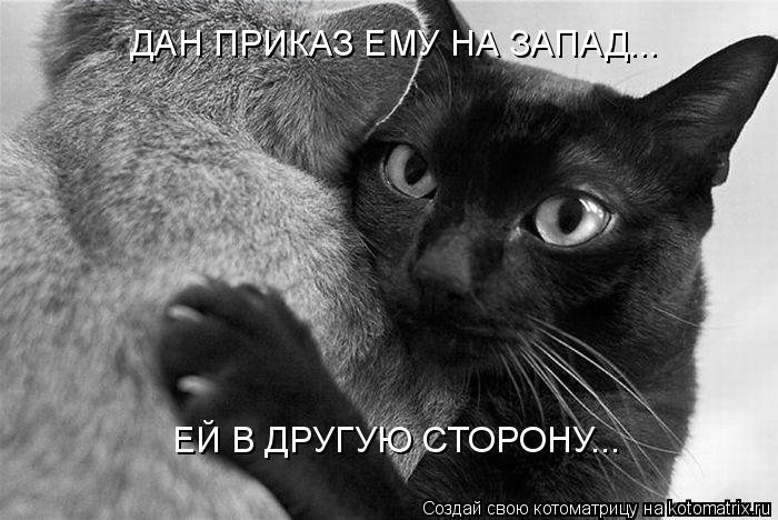 ДАН ПРИКАЗ ЕМУ НА ЗАПАД... ЕЙ В ДРУГУЮ СТОРОНУ...... Котоматрица: ДАН ПРИКАЗ ЕМУ НА ЗАПАД... ЕЙ В ДРУГУЮ СТОРОНУ...