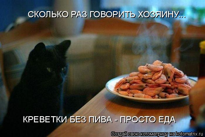 СКОЛЬКО РАЗ ГОВОРИТЬ ХОЗЯИНУ... КРЕВЕТКИ БЕЗ ПИВА - ПРОСТО ЕДА... Котоматрица: СКОЛЬКО РАЗ ГОВОРИТЬ ХОЗЯИНУ... КРЕВЕТКИ БЕЗ ПИВА - ПРОСТО ЕДА